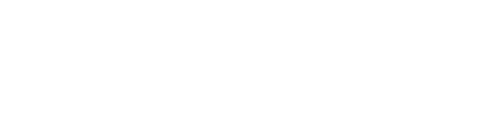 ComdataWEB
